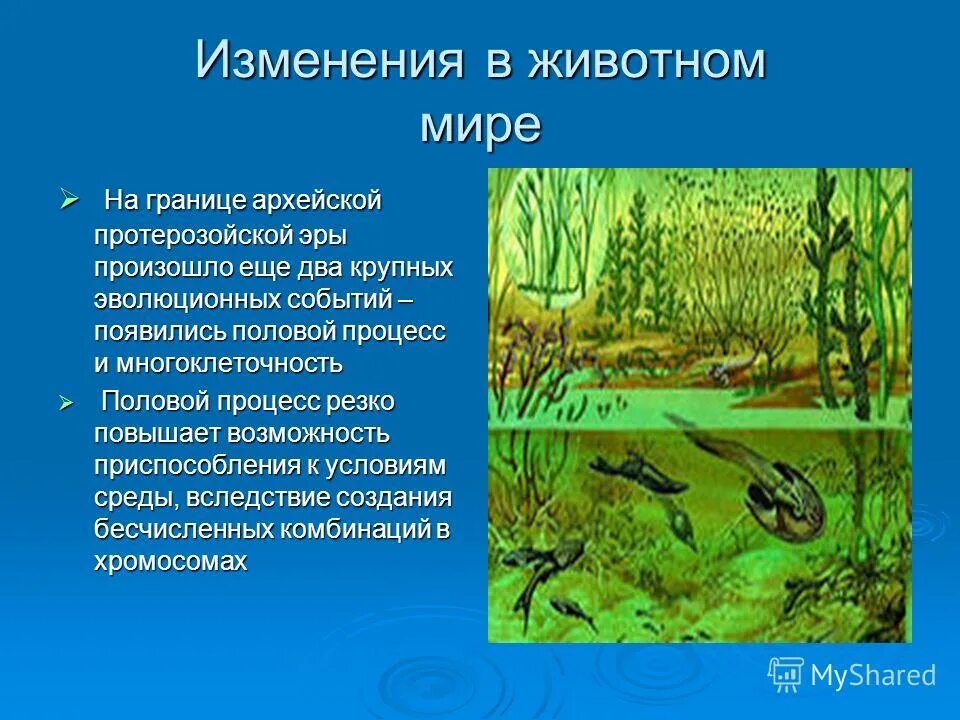 растительный мир архейской эры. эра архей животные. эра архей животные. эра архей животные. представители флоры и фауны архея.