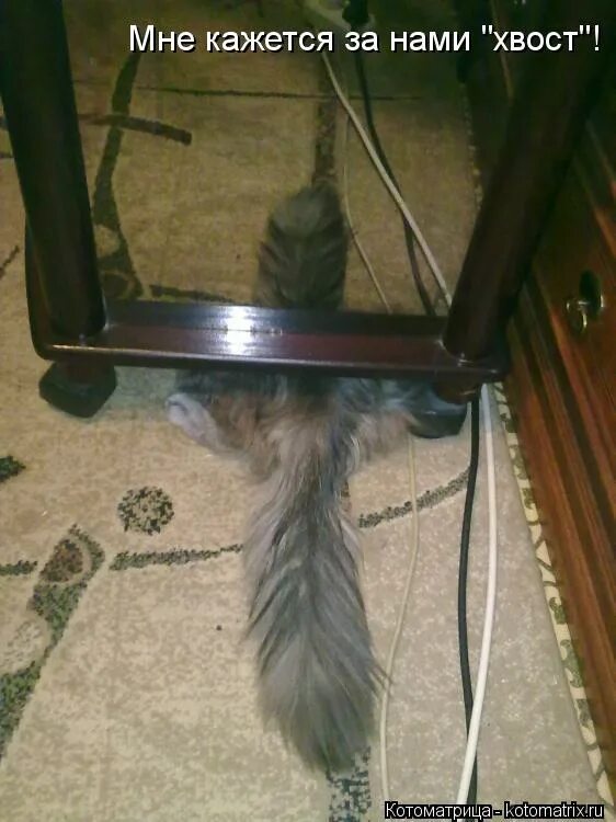 здравствуйте ладошки хлоп хлоп. стишки физминутки для детского сада. мы руками хлоп. ножками топ топ ручками хлоп хлоп. белка ноты для фортепиано.