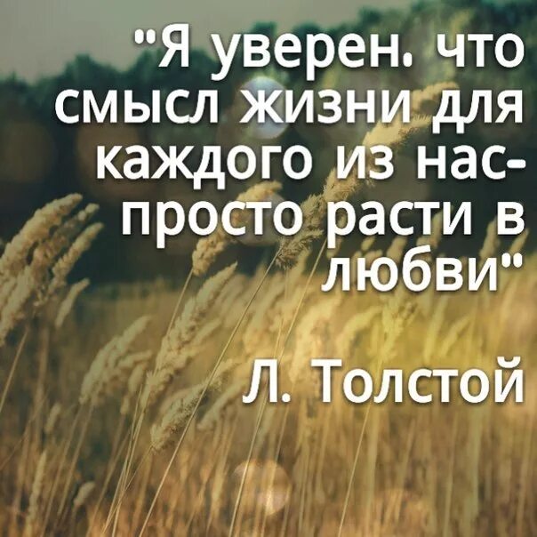 Есть ли смысл жизни человека. О смысле жизни. В чем смысл жизни. Цитаты со смыслом о жизни. Цитаты про жизнь.