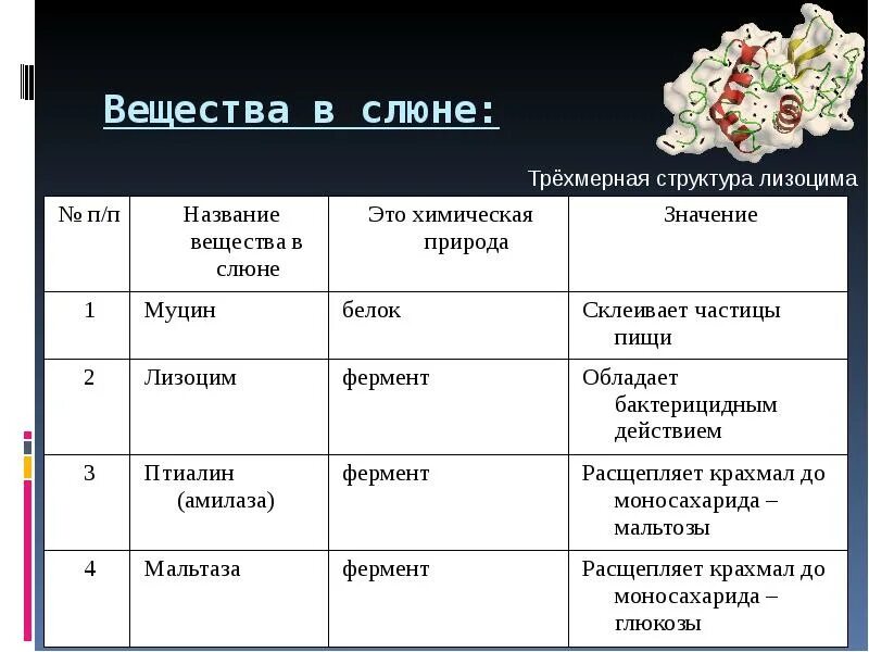 Какие вещества расщепляются слюной. Вещества слюны. Ферменты слюны. Состав слюны ферменты. Фермент амилаза в слюне.