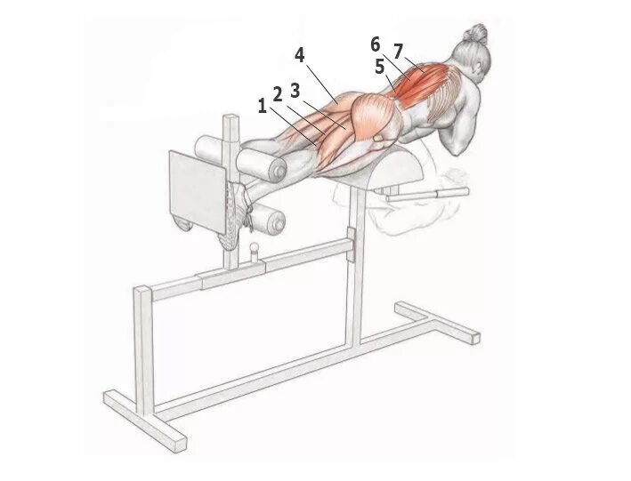Разгибание поясницы. Наклонная, горизонтальная гиперэкстензия Powertec p-hc10. Тренажер экстензия и гиперэкстензия. Гиперэкстензия Smith g20. Тренажер для мышц спины гиперэкстензия.