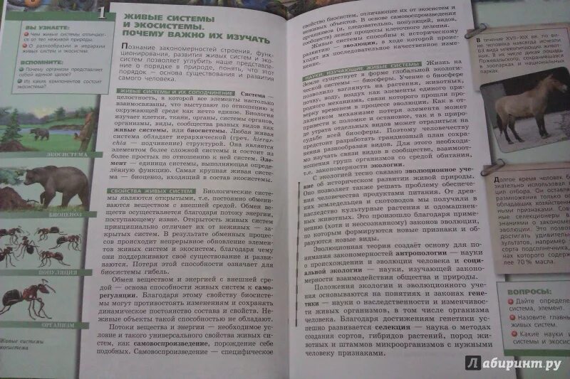 Биология 9 класс параграф 9 читать. Учебник Сухорукова Кучменко 9 класс. Биология 9 класс учебник Сухорукова. Биология 9 класс живые системы и экосистемы. Учебник биологии 9 класс учебник Сухорукова.