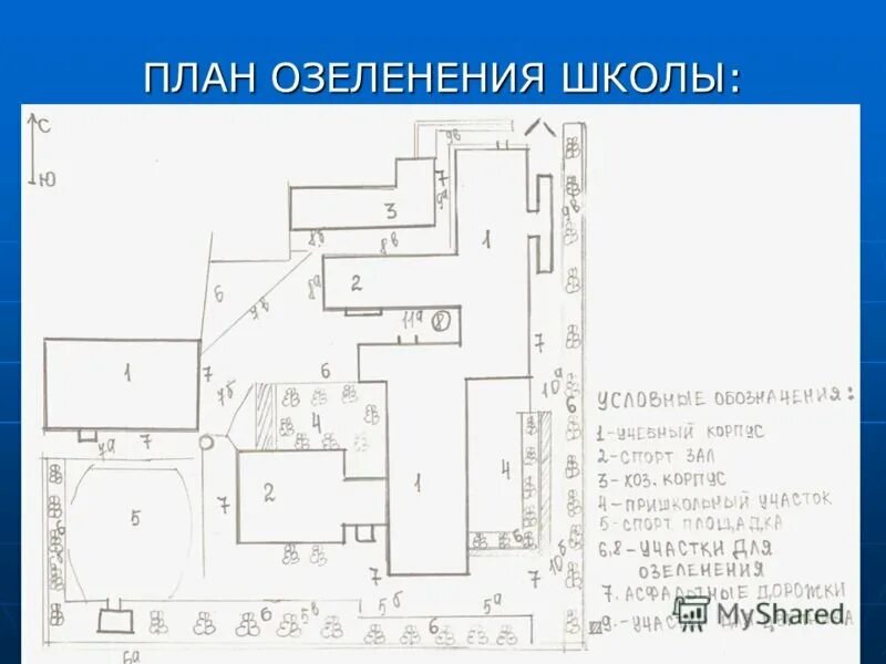 План школьного двора по географии. План двора школы. Как делать план школы. Как делать план школы. Планировка школьного двора.