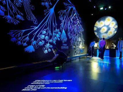 Museum grow