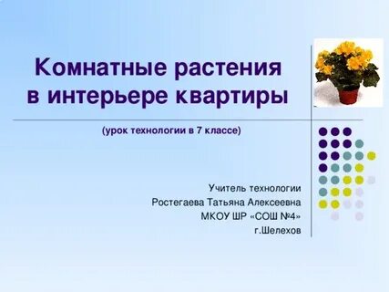 Комнатные растения урок 1 класс презентация