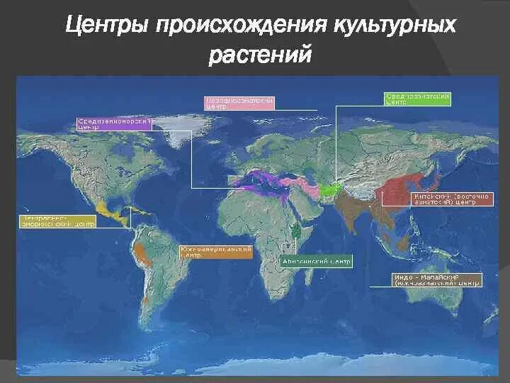 Карта Вавилова центры происхождения культурных растений. Вавилов центры происхождения культурных растений. Южно китайский центр происхождения культурных растений. Центры происхождения культурных растнеи. Центр происхождения культурных растений таблица по биологии