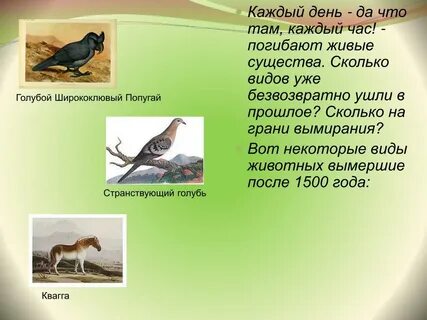 Сколько существ направлялось в москву