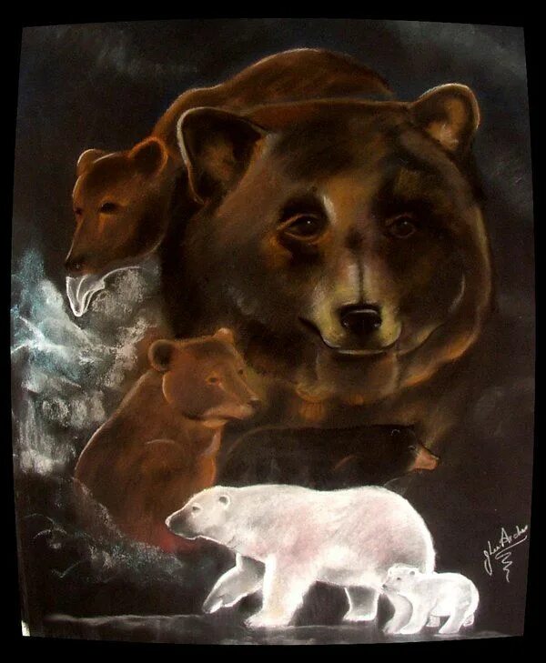 Найдите 3 мудрых зверей. Тотем медведь. Дух медведя Тотем. Мудрый медведь. Барибал Тотем.