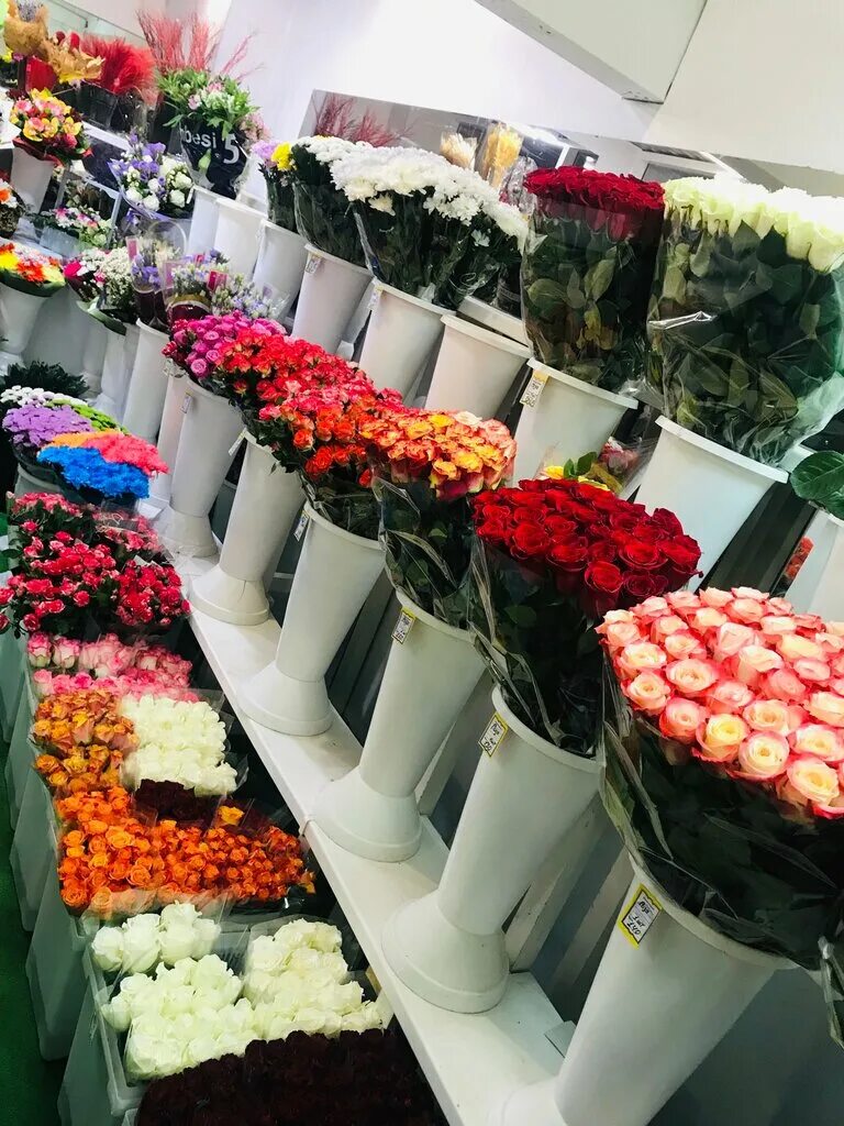 Георгиевски цветочный магазин. Цветы в цветочном магазине. Оптовый цветочный магазин. Цветы магазинные. Ассортимент цветочного магазина.
