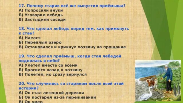 Тест по чтению приемыш. Вопросы по рассказу приемыш. План рассказа приемыш. Приёмыш мамин Сибиряк тест. План приёмыш 4 класс.