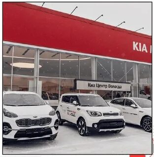 Автосалон лис