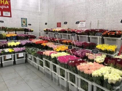 Цветочный ленинградская