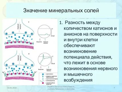 Какие процессы происходят при образовании соли