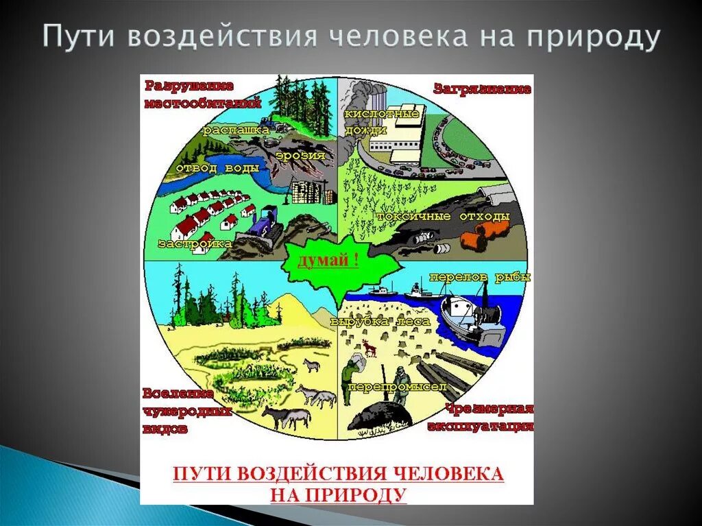 Примеры антропогенного фактора в природе. Воздействие человека на природу это фактор. Антропогенные факторы это воздействие человека на природу. Влияние антропогенных факторов на окружающую среду. Антропогенные факторы воздействия на природу.