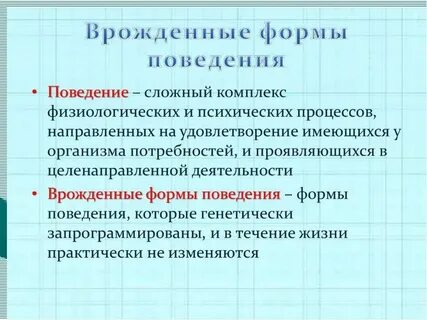 Конспект по биологии поведение животных