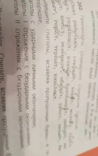 Выпиши только глаголы 2 спряжения вставь пропущенные