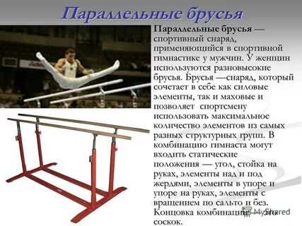 Как называется физкультура