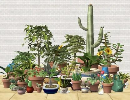 Co2 plants