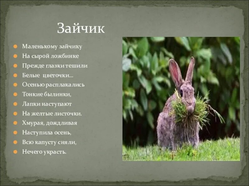 Зайчик на сырой ложбинке. Маленькому зайчику на сырой ложбинке прежде глазки тешили. маленькому зайчику на сырой. зайчик: маленькому зайчику на сырой ложбинке.