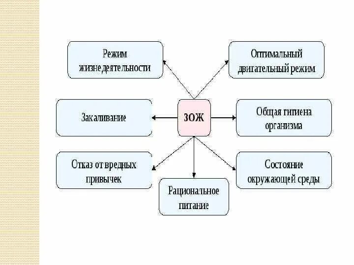 Главный элемент жизни. Схема основные составляющие здорового образа жизни. Основы здорового образа жизни таблица. Таблица ОБЖ основные составляющие здорового образа жизни. Здоровый образ жизни и его составляющие ОБЖ 9 класс.