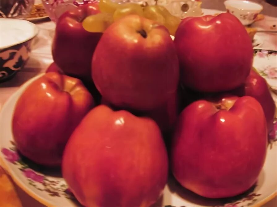 созрели яблоки в нашем саду. ялла наманганские яблоки. собирать яблоки во сне к чему для женщин. в намангане яблоки зреют ароматные. в намангане яблоки зреют ароматные.