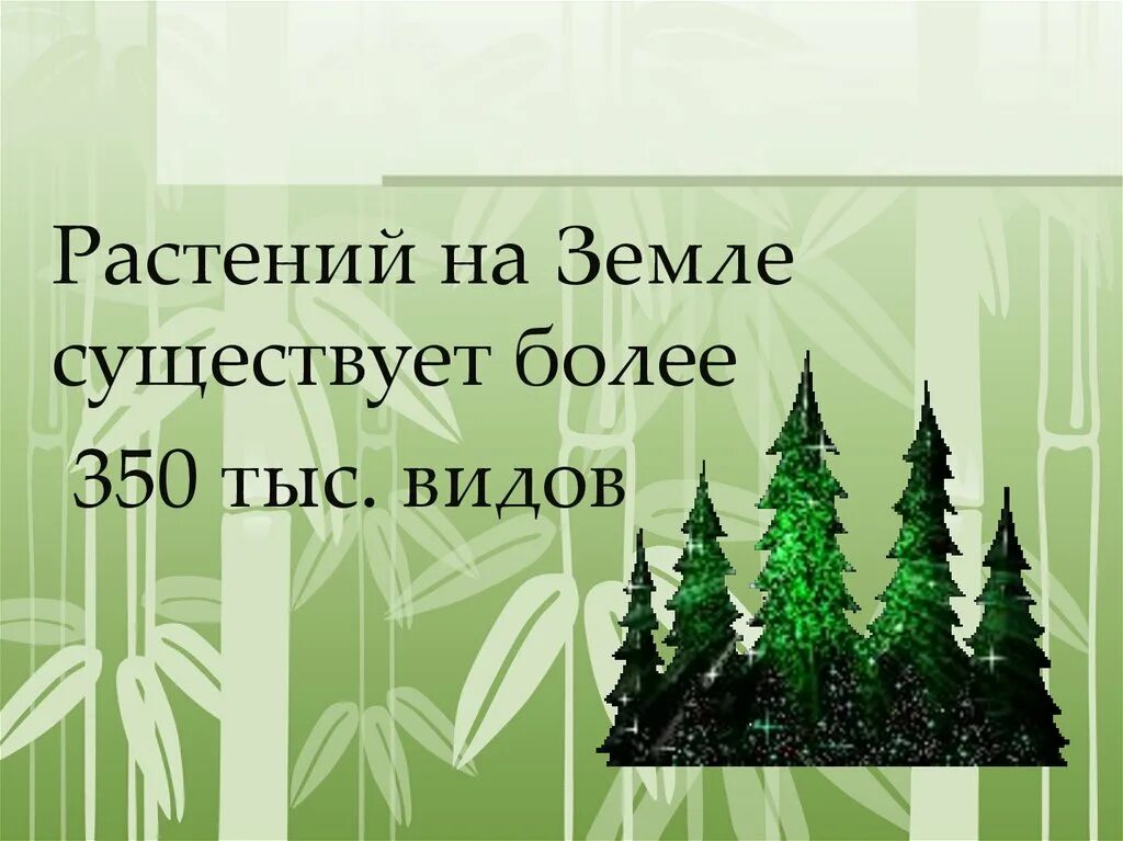 Разнообразие распространение значение растений 6 класс. Разнообразие распространение значение растений. разнообразие распространение значение растений 5 класс. разнообразие распространение значение растений 5 класс биология. разнообразие распространение значение растений 5 класс конспект.