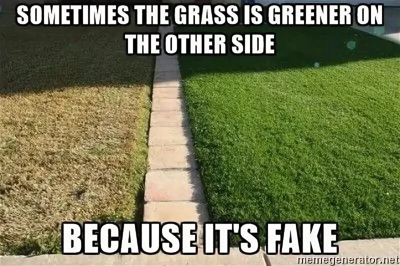 Grass greener on the other side. The grass is greener on the other side. трава мем. the grass is always greener on the other side of the fence. grass was greener meme.