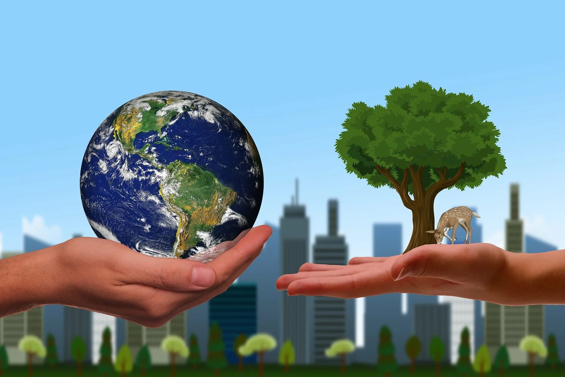 Environmental costs. Дерево в руках. Охрана окружающей среды. Рассада баннер. Экономи природы.