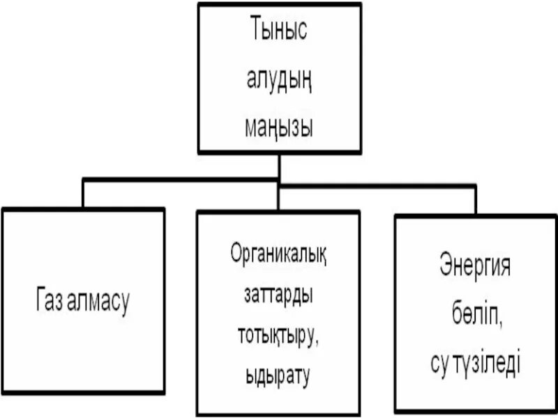 Ала алады. Тыныс алу 7 сынып презентация. Анаэробы тыныс алу формула. Тыныс алу энергия. Тыныс алу мен фотосинтез процесі.