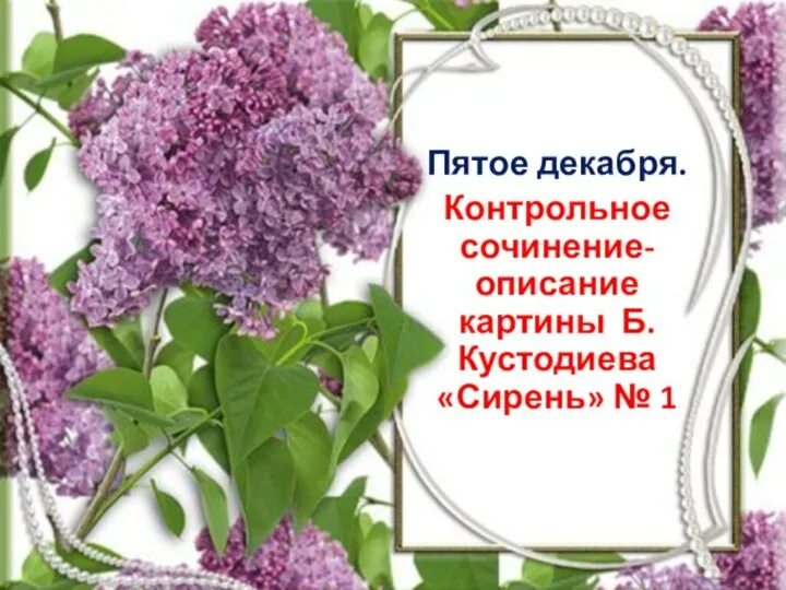 Рамка сирень. Сиреневые цветы рамка. Рамка сирень. Рамка для открытки. Рамки горизонтальные с сиренью.
