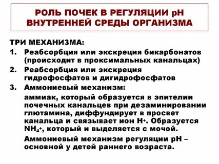Важную роль в регуляции