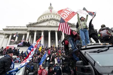 В каких случаях имеет место протестное политическое