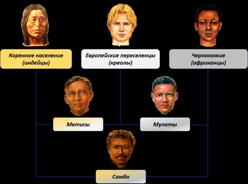 Мулаты определение. Мулат метис креол. мулаты метисы самбо креолы. смешанные расы.