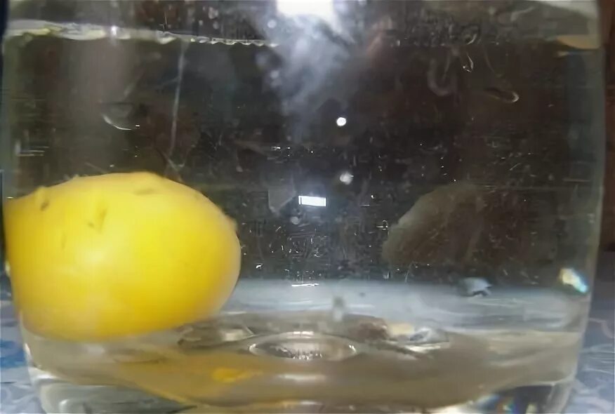 Яйцо в стакан воды на ночь. Яйцо в воде. Выкатывание порчи яйцом.