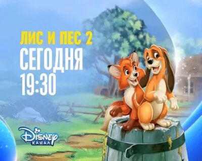 Собака 2 канал