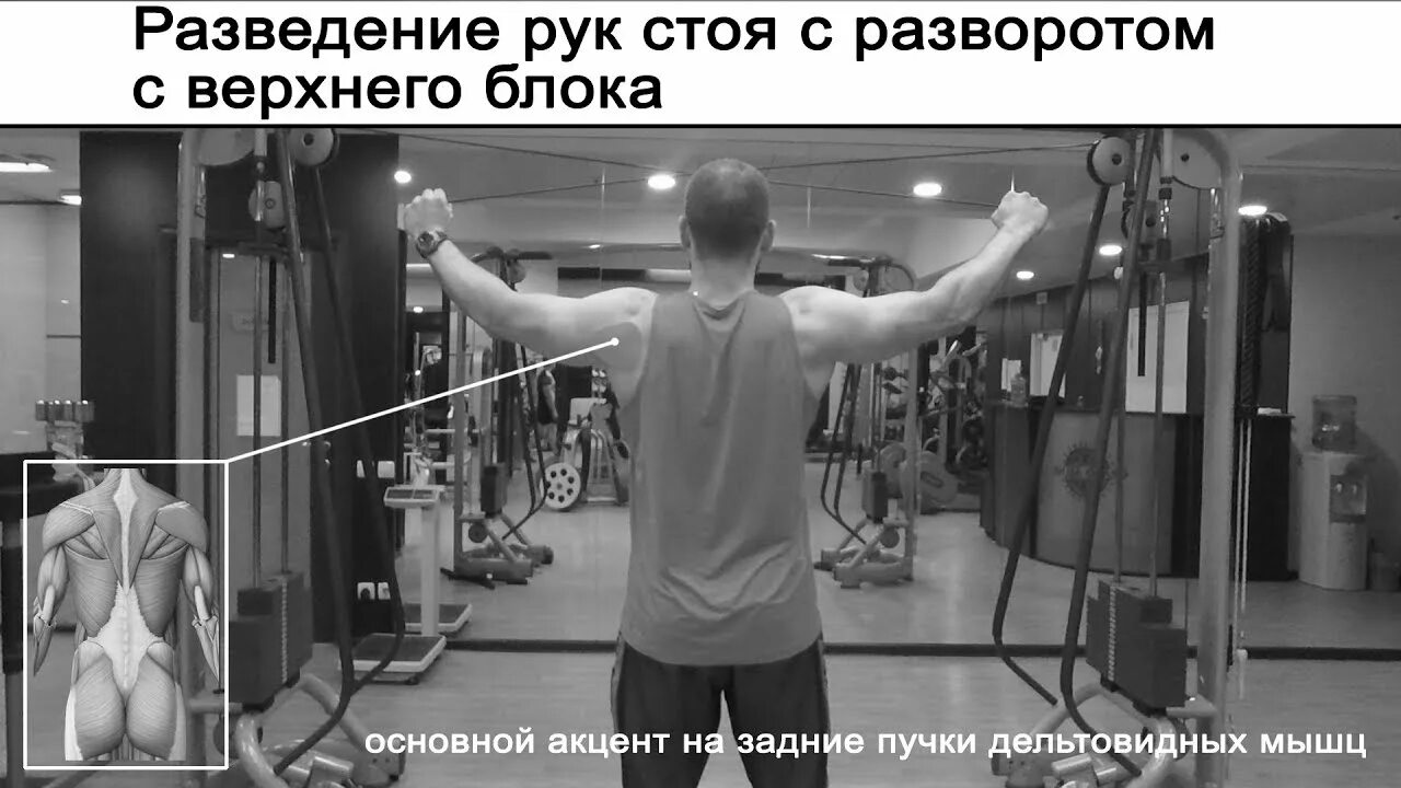 Красивое предложение руки. Поднять голову вместе. Судейство в баскетболе. Вращения в локтевом. Человек разводит руками.