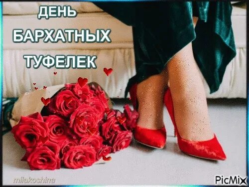 День бархатных туфелек 29 августа. Цветок туфелька. Прикольные открытки туфли с мехом. Туфли пианино. Туфли женские красные.