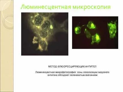 Называют обладают флюоресцируют