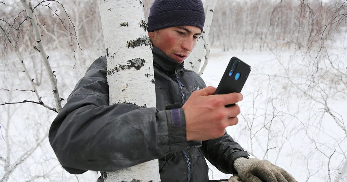 Взбирается по березке. Телефон на дереве. Человек на дереве с телефоном. Парень у березы.