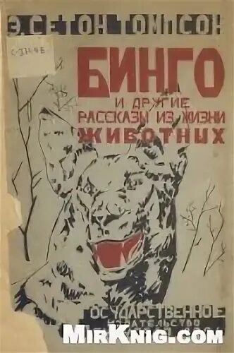 Бинго писателя на русском. Бинго рассказ. Оригинальный персонаж бинго. Бинго иллюстрация сетон томпсон. Бинго вопросы.