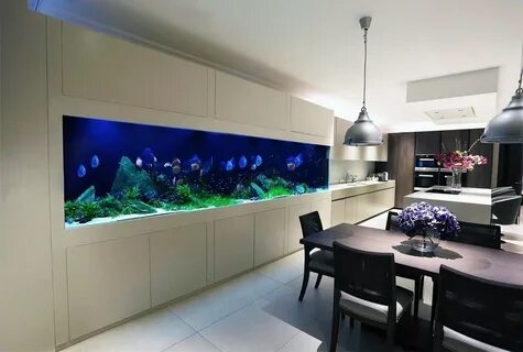Aquarium