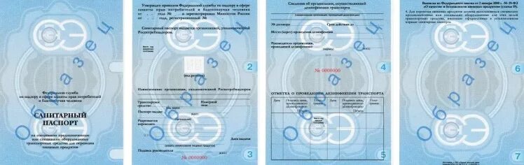 Заполненный гигиенический. Санпаспорт на автомобиль.