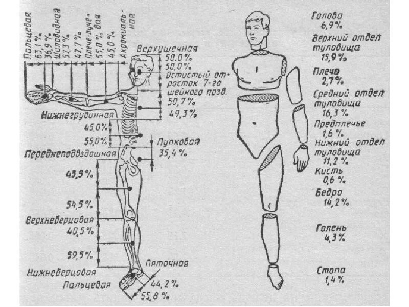 Геометрия масс тела человека биомеханика. Биомеханика двигательной активности. Биомеханика двигательной деятельности. Задачи по биомеханике. Тотальное тело