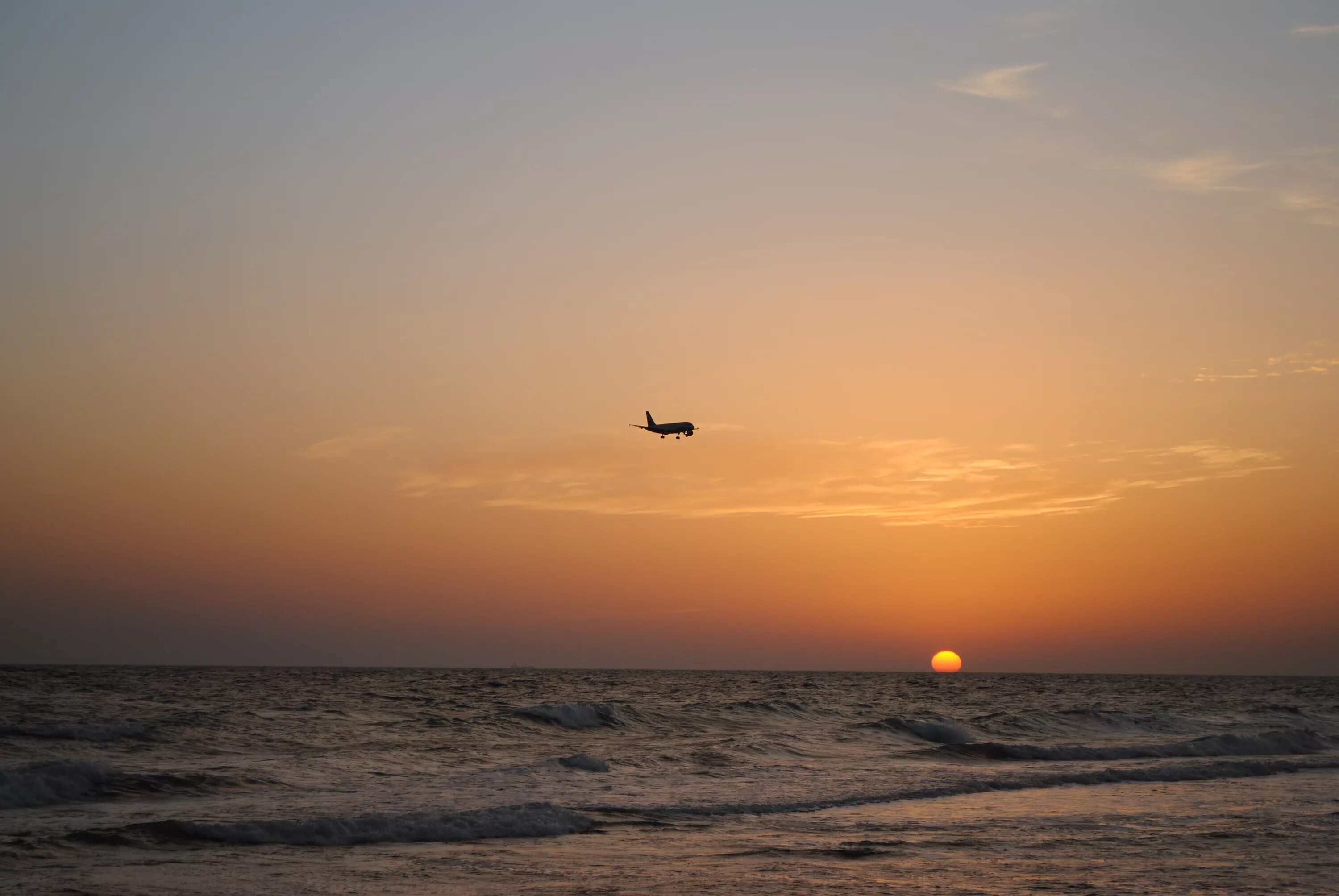 Птицы в небе. Лететь над горизонтом. Облака над морем. Утреннее небо. Самолет над морем.