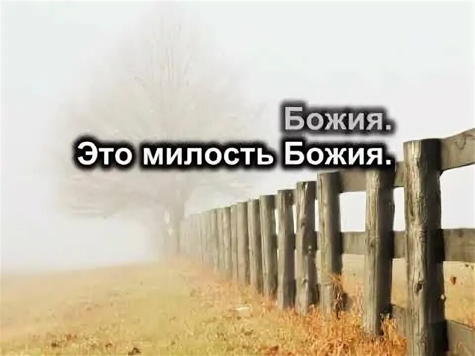 Милость божия песня. Слова песни от погибели спасла меня милость божия.