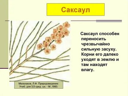 Чрезвычайно силен