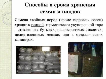Автономный объект хранения семян в каком городе