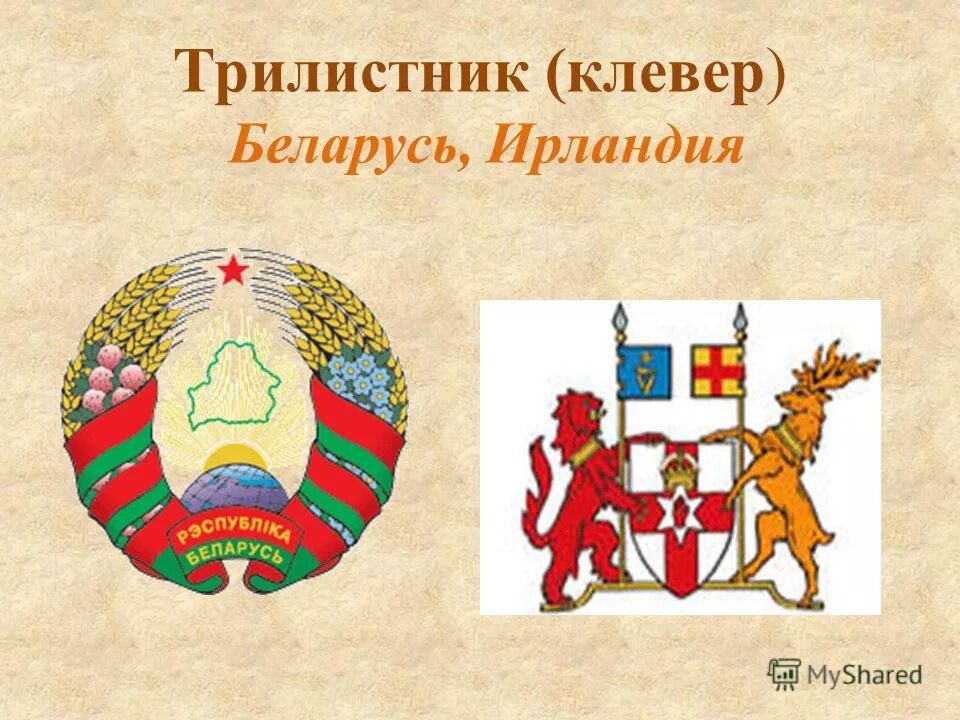 Страны на гербах которых изображены растения. Цветы на гербах разных стран. герб страна с растением на флаге. гербы стран с растениями.