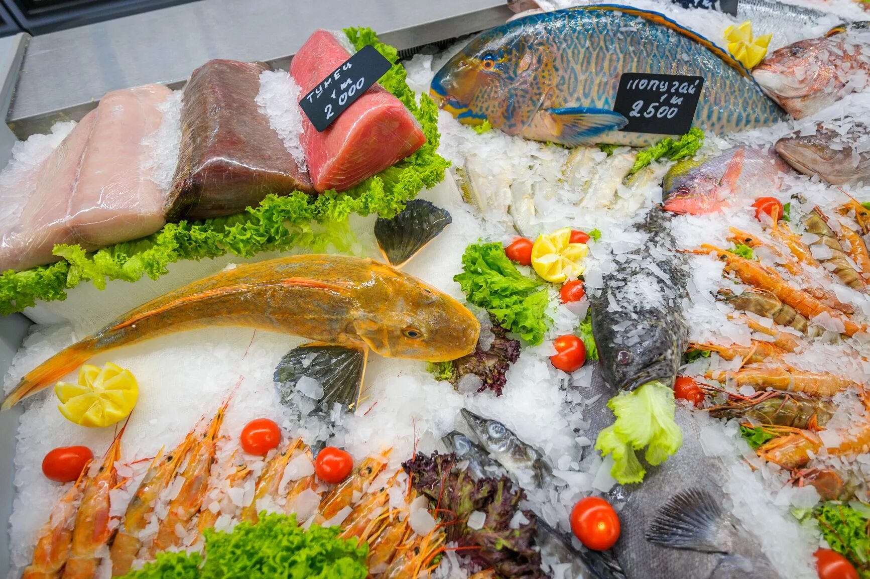 Купи рыбу сайт. Рыбная гастрономия. Фестиваль морепродуктов. Праздник рыбы. Рыбный рынок в Москве.