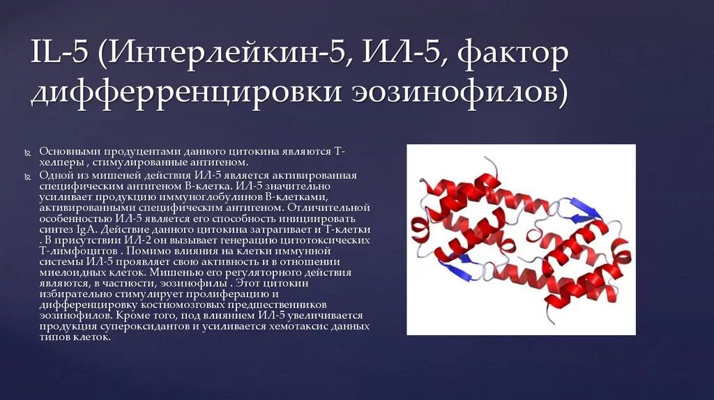 Иммуноглобулины интерфероны. Интерлейкин 5 иммунология. Интерлейкин 8 иммунология. Цитокины интерфероны интерлейкины. Интерлейкины 1 и 2.